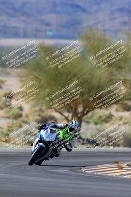 media/Apr-14-2024-SoCal Trackdays (Sun) [[70f97d3d4f]]/1-Turn 5 Tree of Life (920am)/